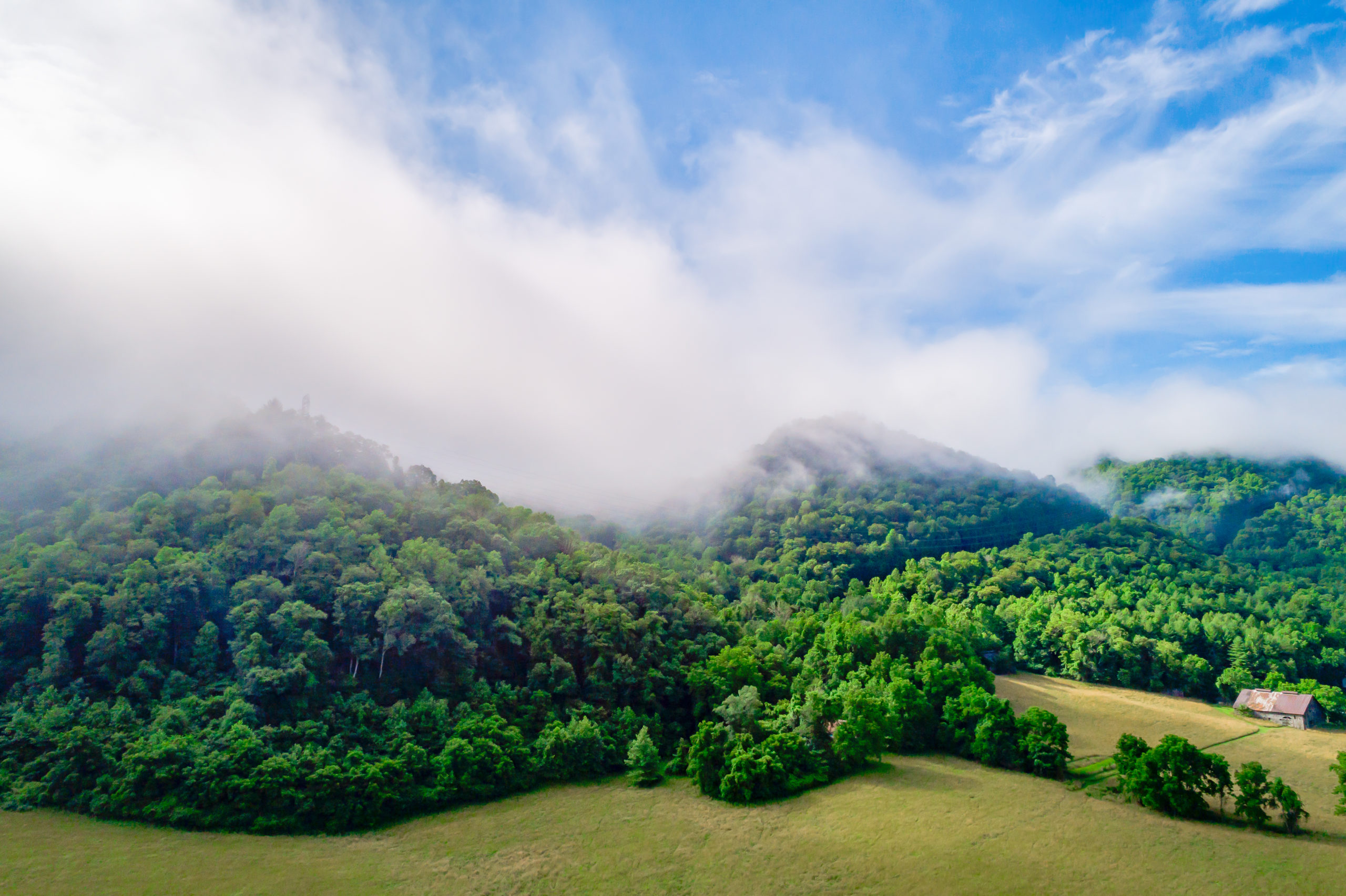 The Cane River Property Rural Land Investments